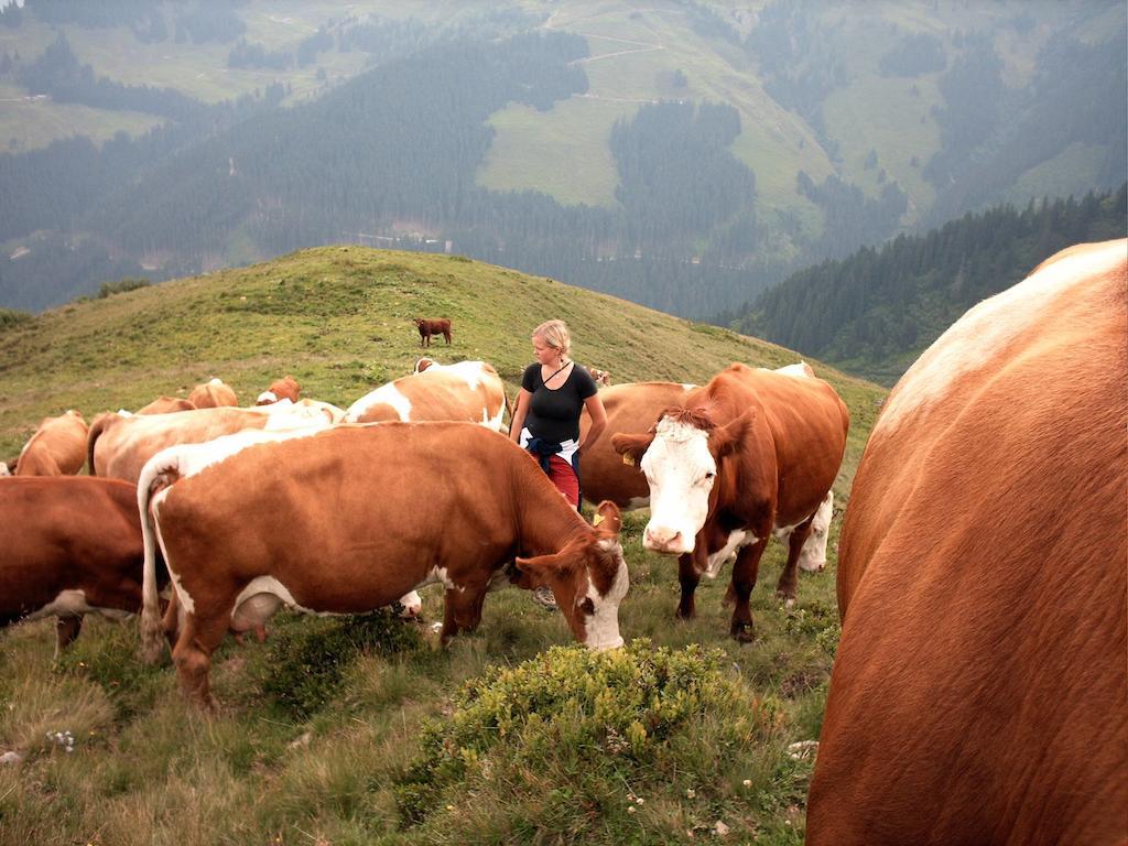 Viehhofbauer Villa Maria Alm am Steinernen Meer Kültér fotó