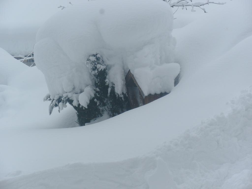 Viehhofbauer Villa Maria Alm am Steinernen Meer Kültér fotó