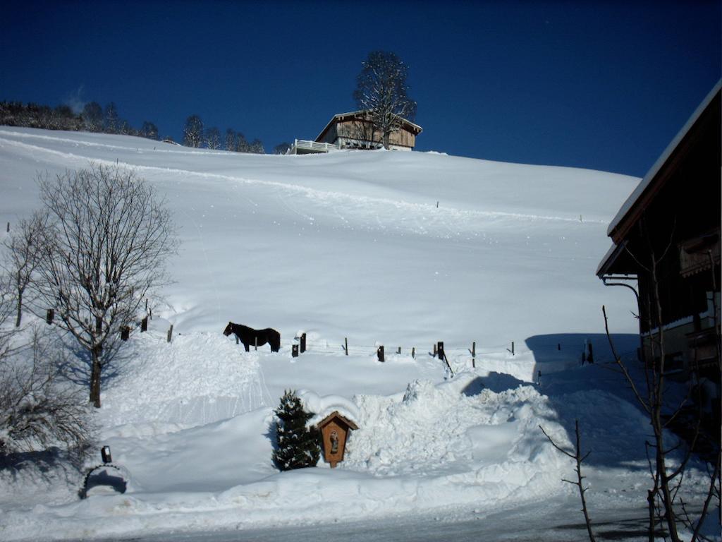 Viehhofbauer Villa Maria Alm am Steinernen Meer Kültér fotó